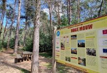 Hondenlosloopweide Hoge Mouw景点图片