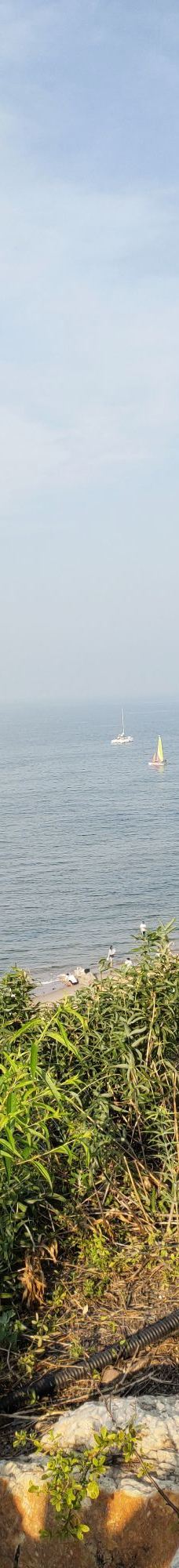 鸽子窝海鸥海滩-秦皇岛