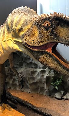 Musee des Dinosaures 'Dinosauria'-埃斯佩拉扎