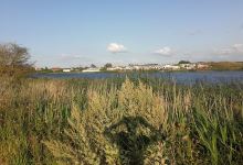 Foss Hill Country Park景点图片