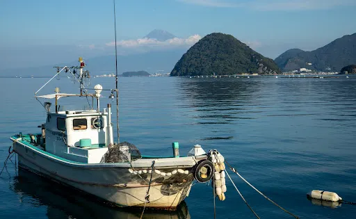 內浦灣