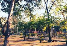 Bangkok Scout Camp (Pisalyabut)景点图片