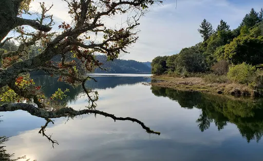 Lake Lagunitas