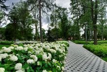 Park Miejski景点图片
