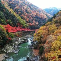 龟冈市图片