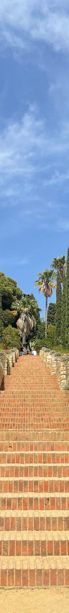 Jardin Botanico Marimurtra-布拉内斯