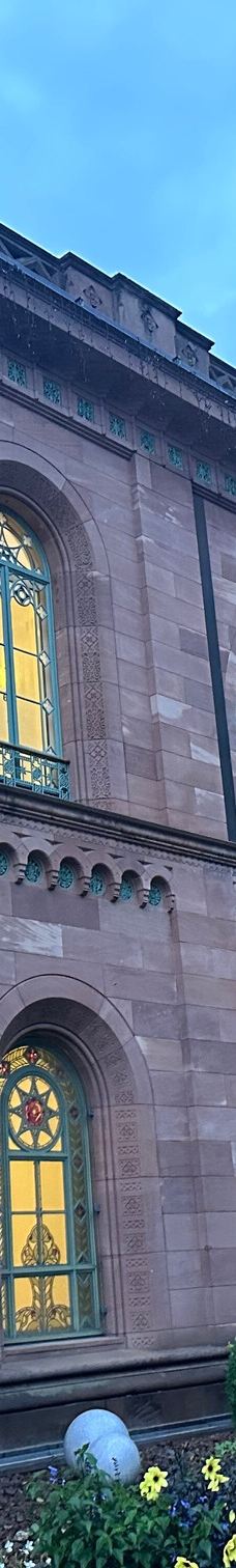 巴特维尔德巴特