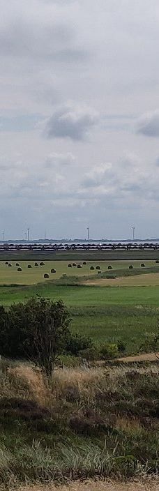 Morsum-Kliff-摩尔苏姆