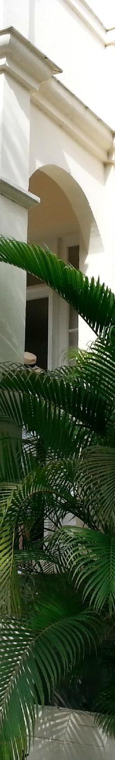 海明威故居-哈瓦那