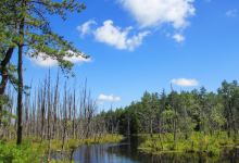 New Jersey Pinelands National Reserve景点图片