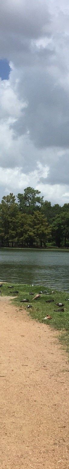 赫曼公园-休斯敦