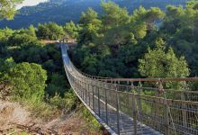 Hanging Bridge at Nesher Park景点图片