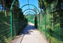 Alternative Wolf and Bear Park Black Forest景点图片