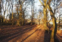 Ashby Ville Nature Reserve景点图片