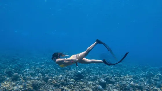 Fathom Freediving Bali