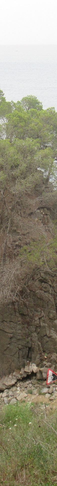 Cala El Golfet-帕拉弗鲁赫尔