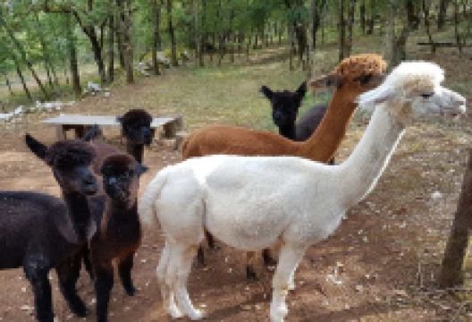 La Ferme Pachamama景点图片