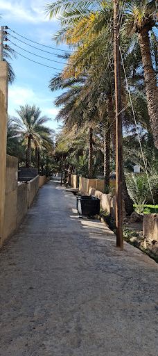 Old Al Hamra village-哈姆拉