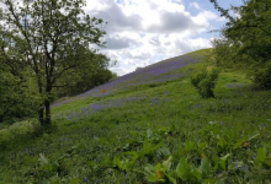 Cam Long Down景点图片