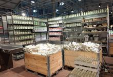 Plantagen购物图片