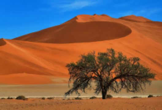 Sesriem Campsite - NWR景点图片