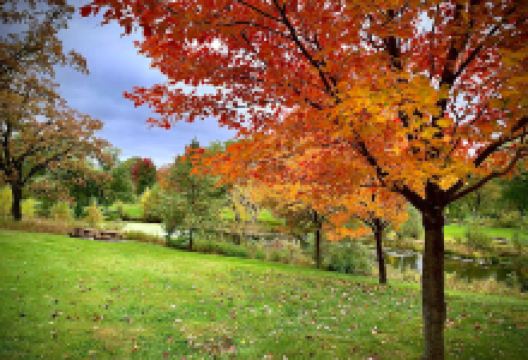 Sunfish Lake Park景点图片