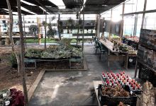 green room yatsugatake购物图片