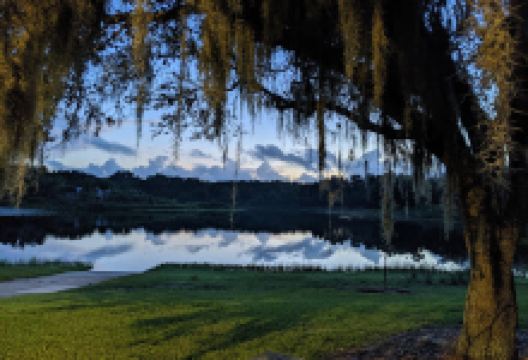 Royal Park景点图片