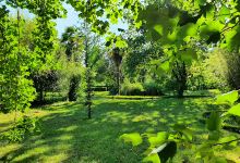 Garden of Bertiz Lordship Natural Park景点图片