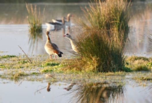 Easterskar景点图片