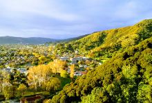Te Whiti Park景点图片