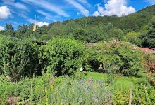 Gartenfreunde Heidach e.V.景点图片