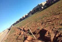 Jardin Oued Eddahab景点图片