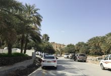 Tabaqa Castle حصن الطباقة景点图片