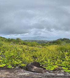 Nid d'Aigl-拉迪格