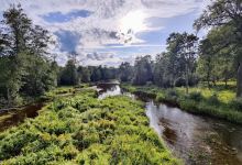 Ropažu Livonijas ordeņa pilsdrupas景点图片