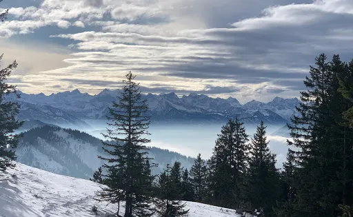 Fockenstein