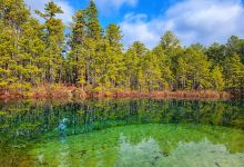 Franklin Parker Preserve — Speedwell Entrance景点图片
