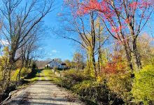 Connecticut Audubon Society at Trail Wood景点图片