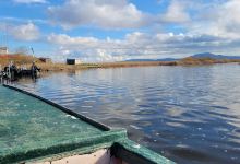 DELTA EVROS EXPLORER景点图片