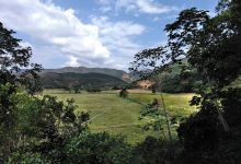 Cerro Saroche National Park景点图片