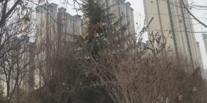 高新區中心廣場