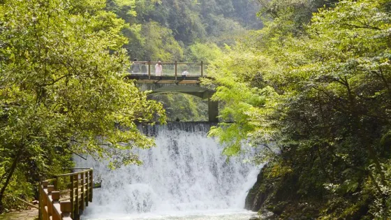 湖南洪江清江湖國家濕地公園