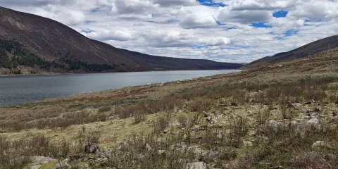 拉龍措古冰漂濕地旅遊景區