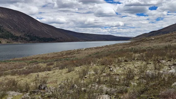 拉龍措古冰漂濕地旅遊景區