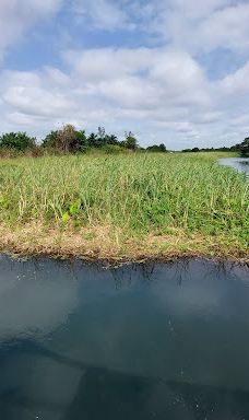 Keta Lagoon Protected Area-凯塔