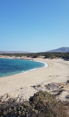 Cedar Forest of Alyko-纳克索斯