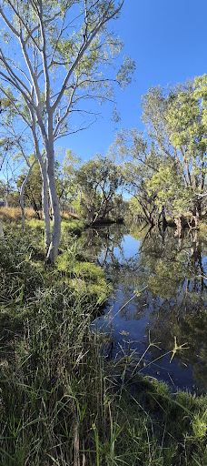 Violet Valley Campground-奥德里弗