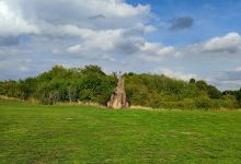 Pleshey Castle景点图片