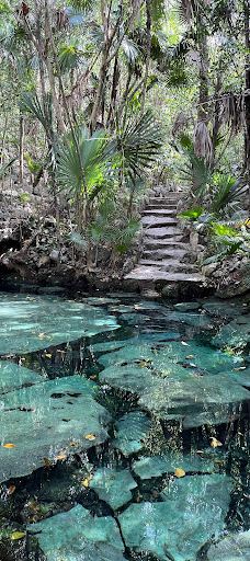 Cenote Azul-索里达瑞达德